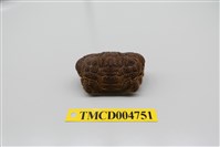 藏品(絨毛仿銀杏蟹)的圖片